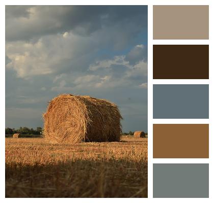 Rural Hay Bale Countryside Image